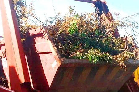 caçamba estacionária para remoção de restos de jardinagem e poda de árvores